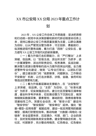 XX市公安局XX分局2023年重点工作计划