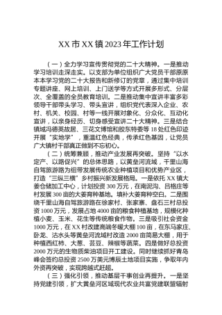 XX市XX镇2023年工作计划 (2)