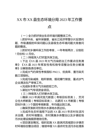 XX市XX县生态环境分局2023年工作要点