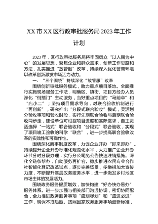 XX市XX区行政审批服务局2023年工作计划