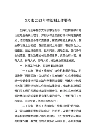 XX市2023年林长制工作要点