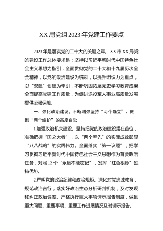XX局党组2023年党建工作要点