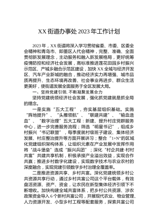 XX街道办事处2023年工作计划 (3)