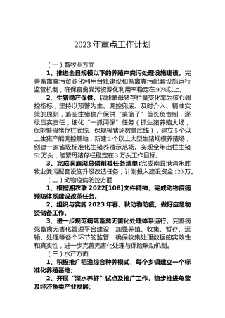 2023年重点工作计划