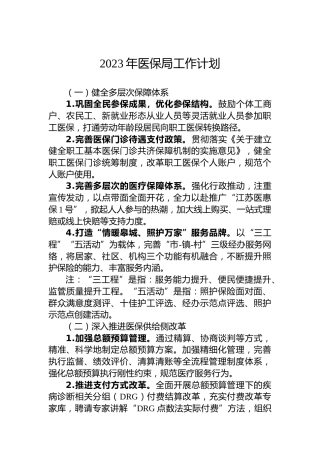 2023年医保局工作计划