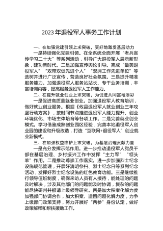 2023年退役军人事务工作计划