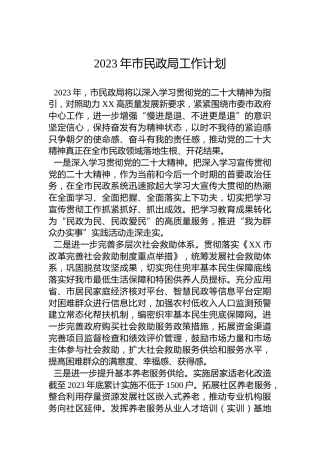 2023年市民政局工作计划