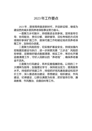 2023年工作要点(1)