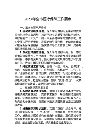 2023年全市医疗保障工作要点