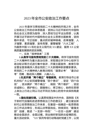 2023年全市公安政治工作要点