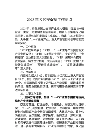 2023年X区投促局工作要点