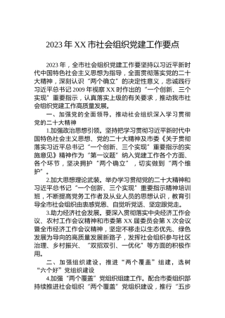 2023年XX市社会组织党建工作要点