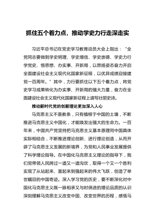 抓住五个着力点，推动学史力行走深走实