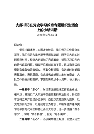 支部书记在党史学习教育专题组织生活会上的小结讲话