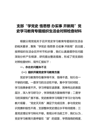 支部“学党史悟思想办实事开新局”党史学习教育专题组织生活会对照检查材料
