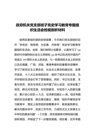 政府机关党支部班子党史学习教育专题组织生活会检视剖析材料