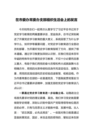 在市委办常委办支部组织生活会上的发言