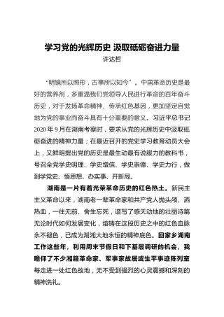 学习党的光辉历史汲取砥砺奋进力量
