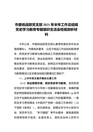 市委统战部党支部2021年半年工作总结级党史学习教育专题组织生活会检视剖析材料