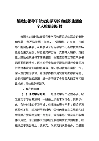 某政协领导干部党史学习教育组织生活会个人检视剖析材 (2)