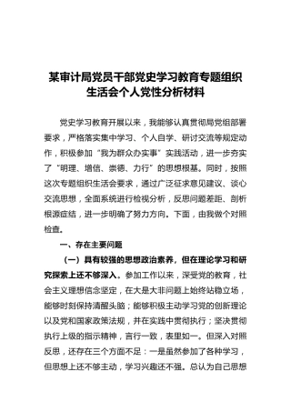 某审计局党员干部党史学习教育专题组织生活会个人党性分析材料