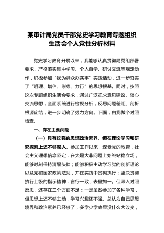 某审计局党员干部党史学习教育专题组织生活会个人党性分析材料 (2)