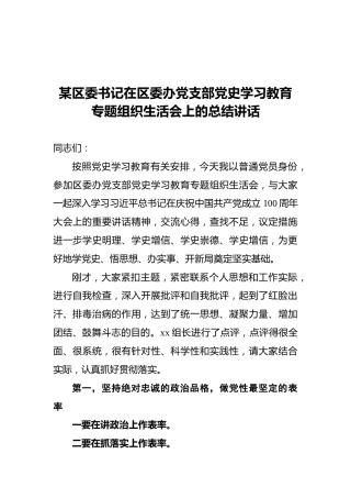 某区委书记：在区委办党支部党史学习教育专题组织生活会上的总结讲话