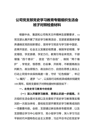 公司党支部党史学习教育专题组织生活会班子对照检查材料 (2)