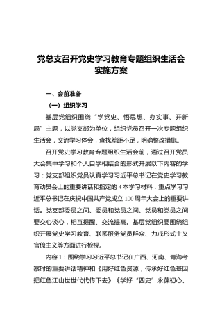 党总支召开党史学习教育专题组织生活会实施方案