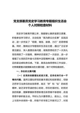 党支部委员党史学习教育专题组织生活会个人对照检查材料 (2)