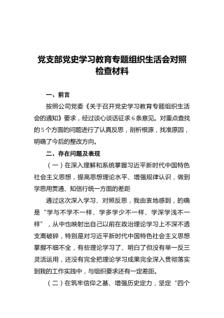 党支部党史学习教育专题组织生活会对照检查材料