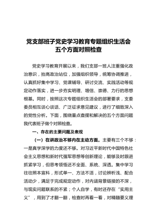 党支部班子党史学习教育专题组织生活会五个方面对照检查