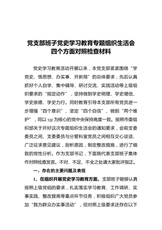 党支部班子党史学习教育专题组织生活会四个方面对照检查材料