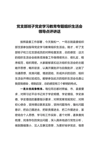 党支部班子党史学习教育专题组织生活会领导点评讲话