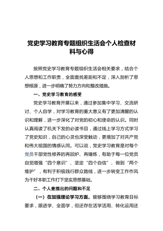 党史学习教育专题组织生活会个人检查材料与心得