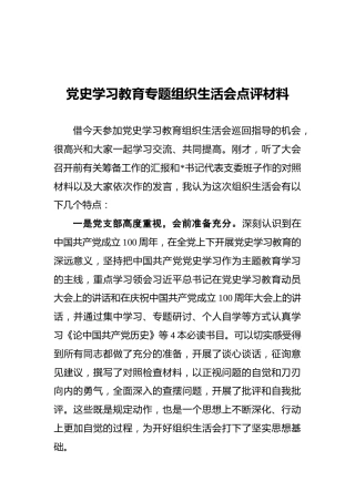 党史学习教育专题组织生活会点评材料
