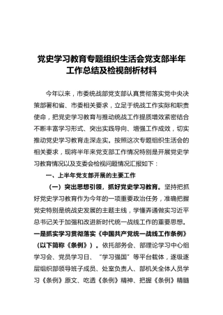 党史学习教育专题组织生活会党支部半年工作总结及检视剖析材料