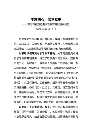 党史学习教育开展情况报告