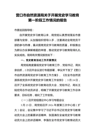 营口市自然资源局关于开展党史学习教育第一阶段工作情况的报告_