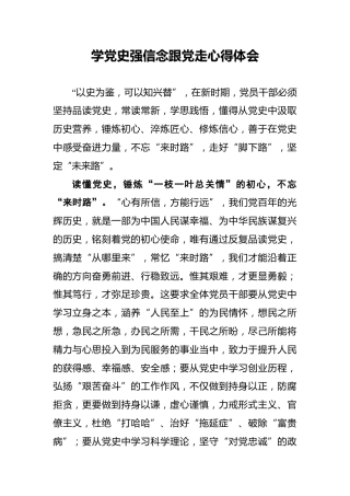 学党史强信念跟党走心得体会5