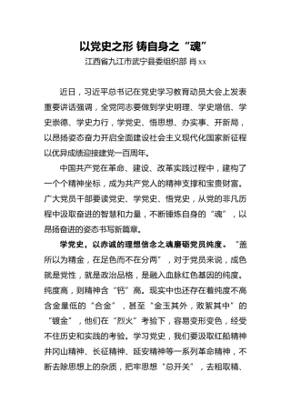 肖xx：以党史之形铸自身之“魂”