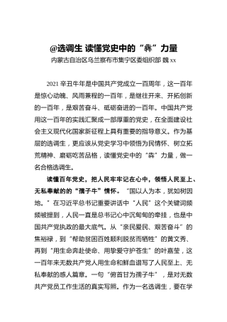 魏xx：%40选调生读懂党史中的“犇”力量
