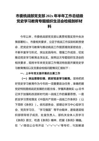 市委统战部党支部202x年半年工作总结级党史学习教育专题组织生活会检视剖析材料