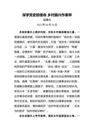 深学党史担使命乡村振兴作表率