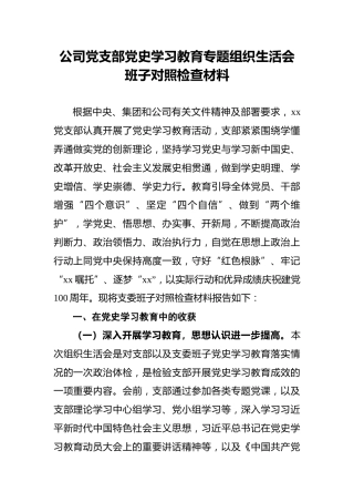 公司党支部党史学习教育专题组织生活会班子对照检查材料(1)