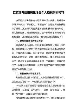 党支部专题组织生活会个人检视剖析材料