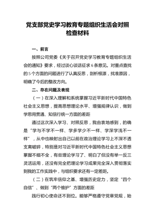 党支部党史学习教育专题组织生活会对照检查材料(1)