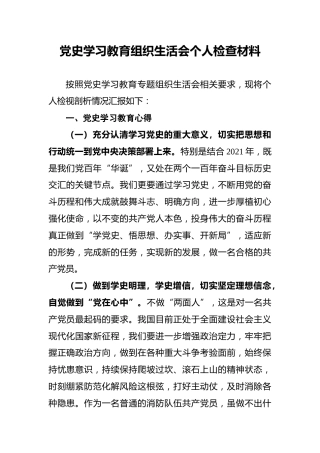 党史学习教育组织生活会个人检查材料 (2)