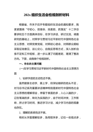 202x组织生活会检视剖析材料