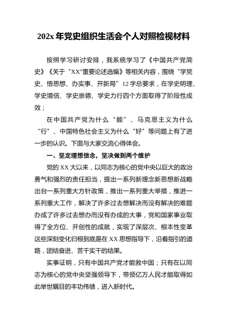 202x年党史组织生活会个人对照检视材料